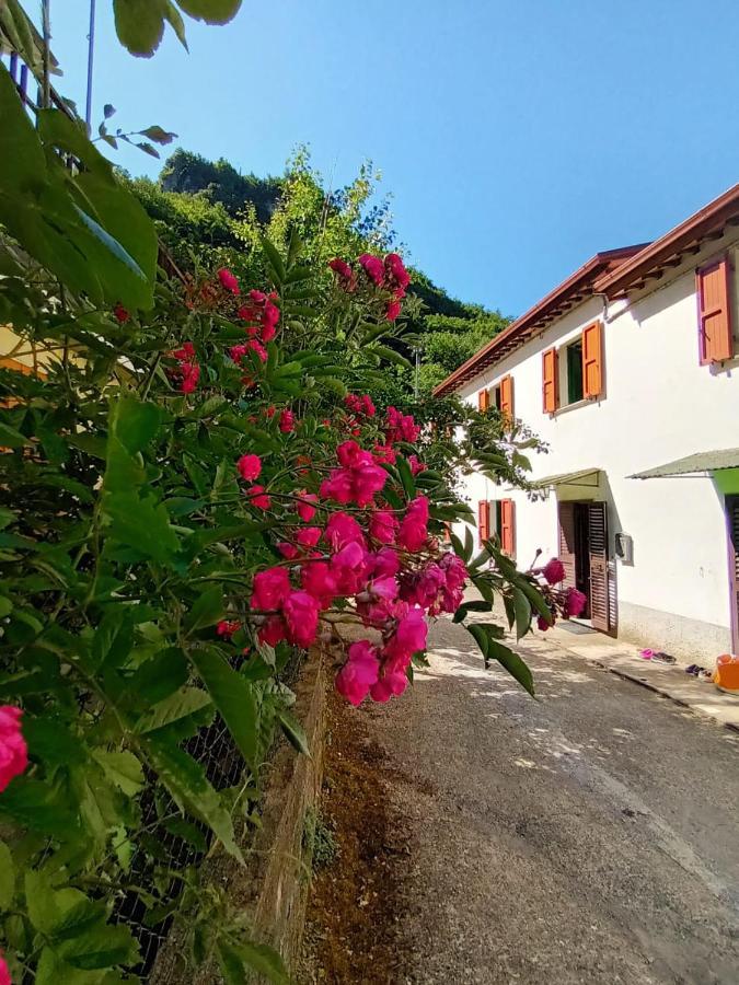 Casolare Trombacco Villa Fabbriche di Vergemoli Eksteriør billede